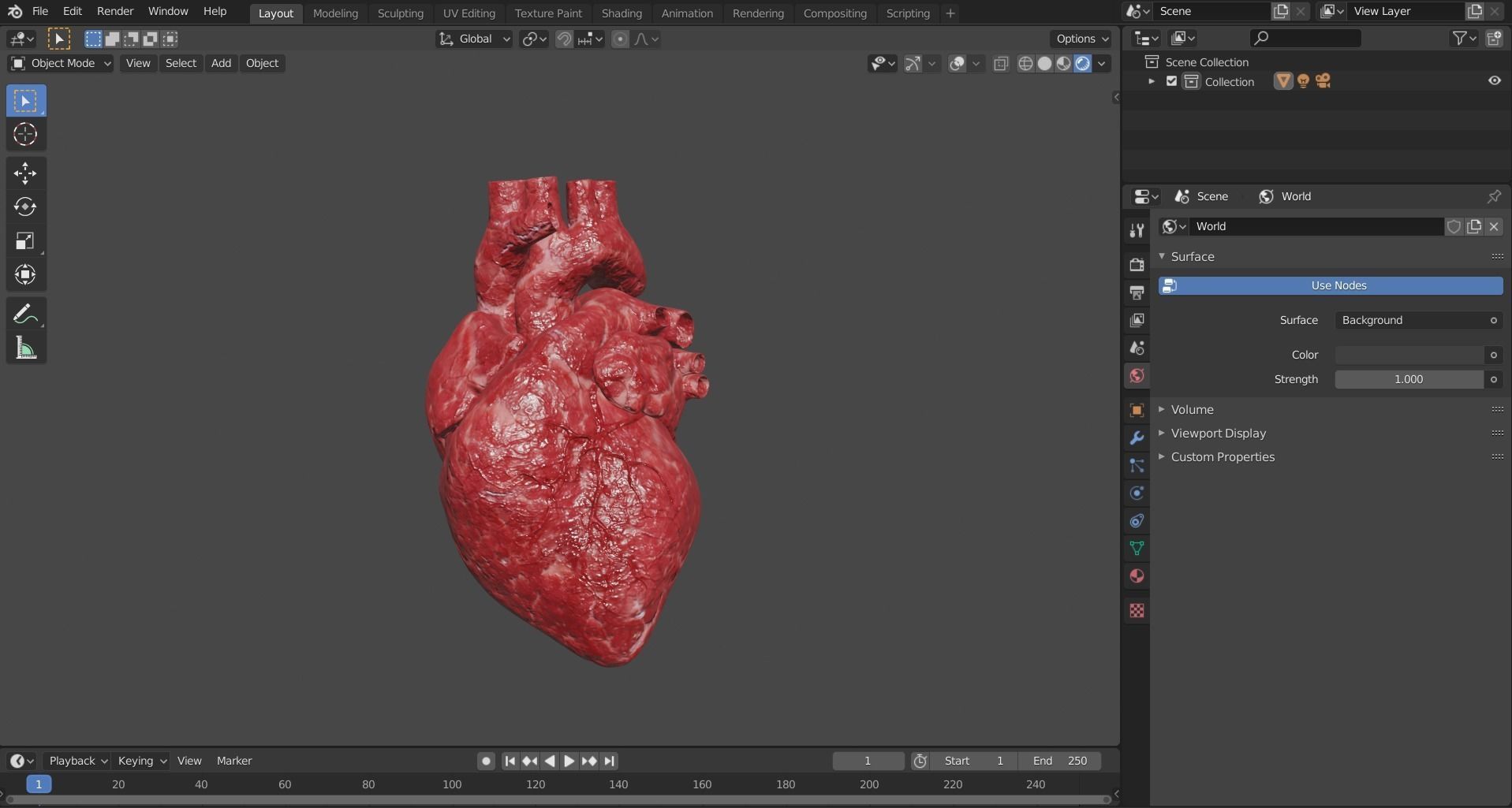 Human Heart Low-poly 3D model_5