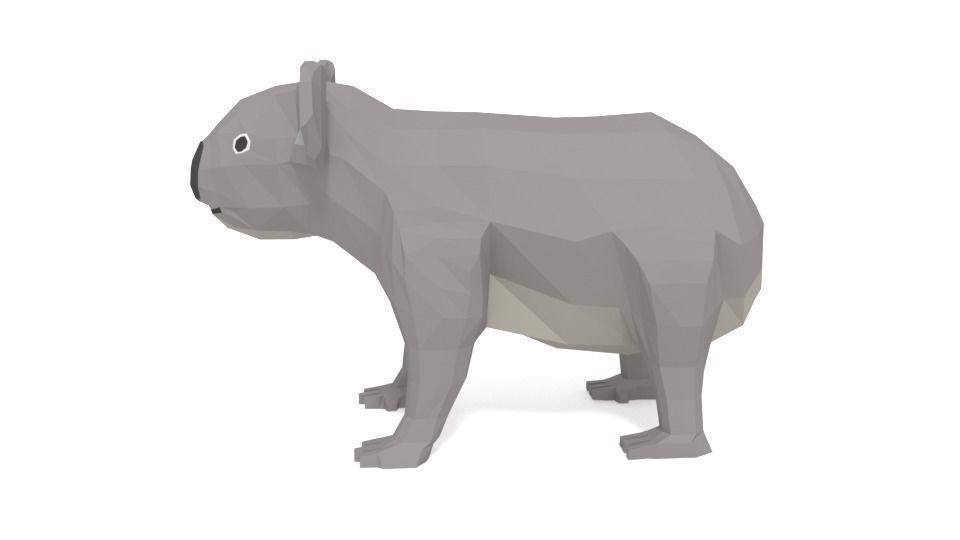 Low Poly Cartoon Australian Animals Pack 3D Model Collection_7