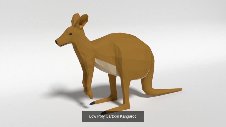 Low Poly Cartoon Australian Animals Pack 3D Model Collection_3