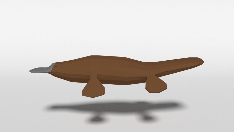 Low Poly Cartoon Australian Animals Pack 3D Model Collection_23