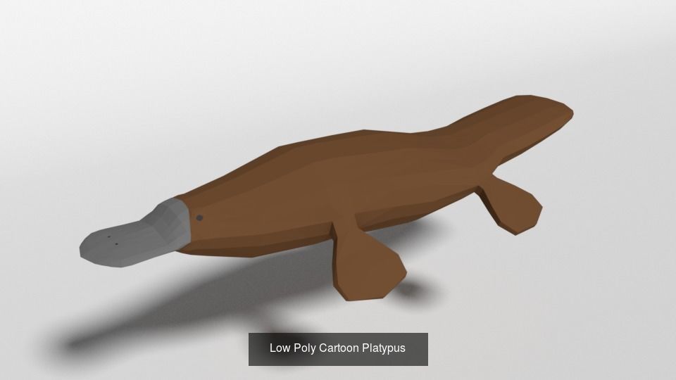 Low Poly Cartoon Australian Animals Pack 3D Model Collection_4