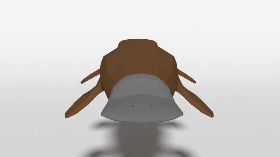 Low Poly Cartoon Australian Animals Pack 3D Model Collection_21