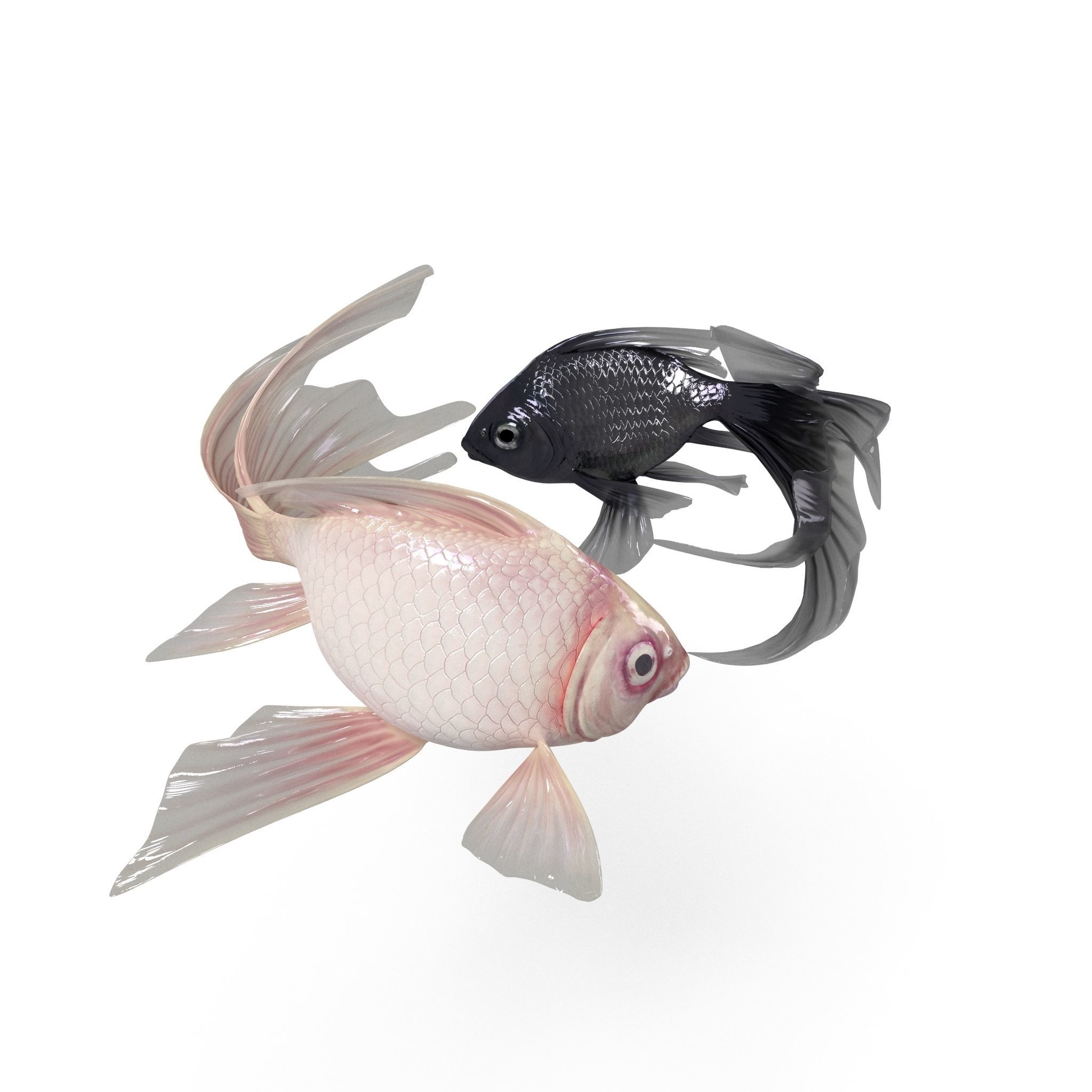 Yin Yang Fish Low-poly 3D model_1