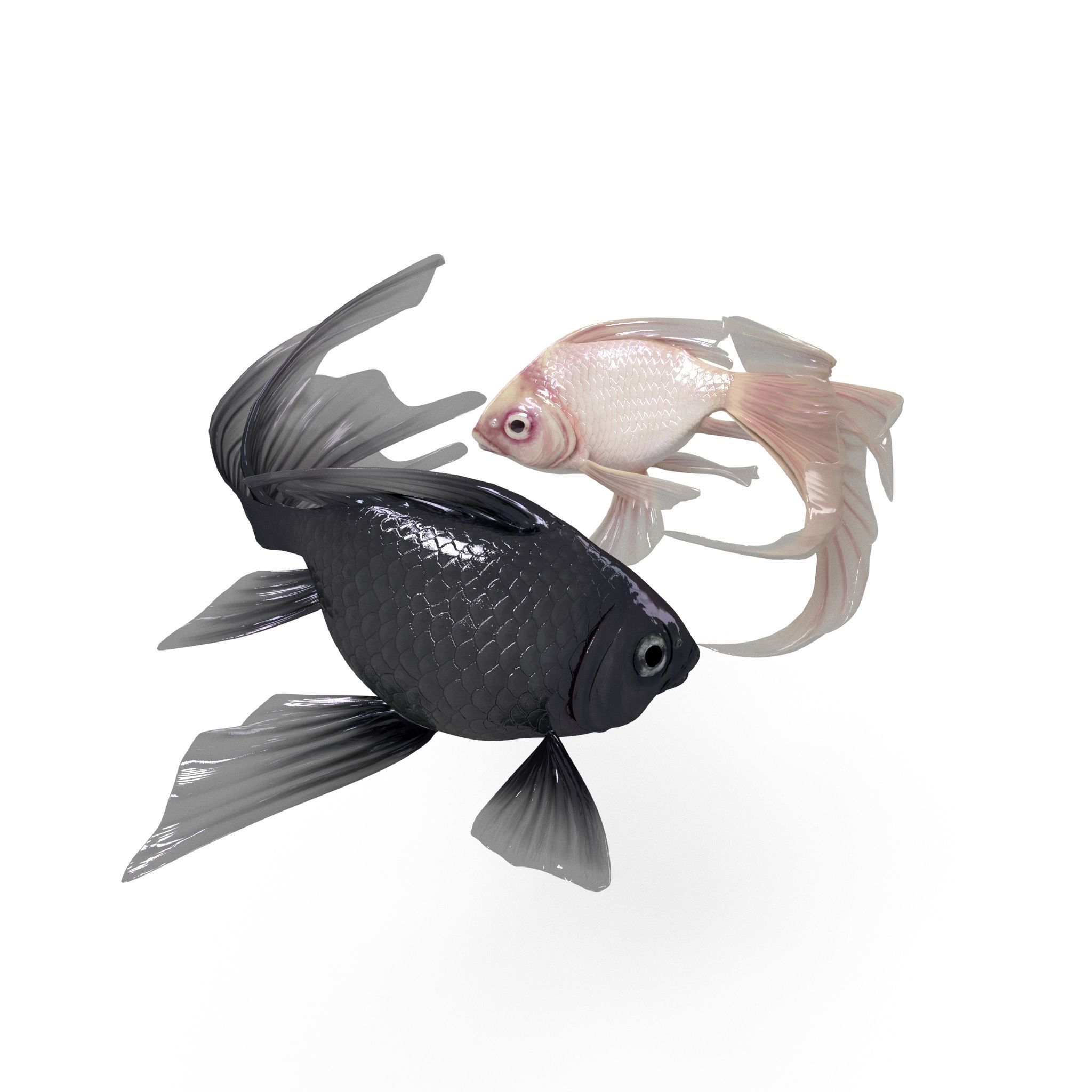 Yin Yang Fish Low-poly 3D model_2