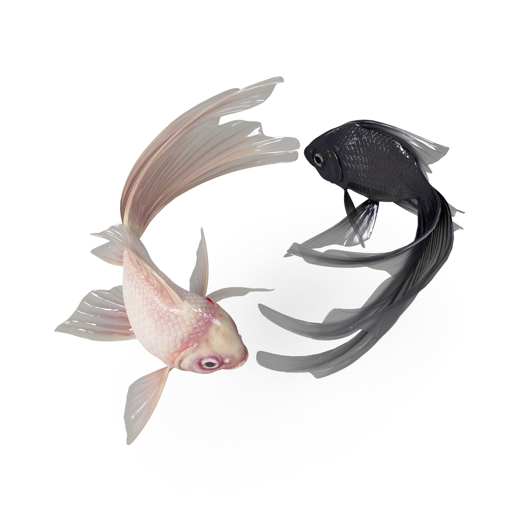 Yin Yang Fish Low-poly 3D model_6
