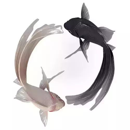 Yin Yang Fish Low-poly 3D model