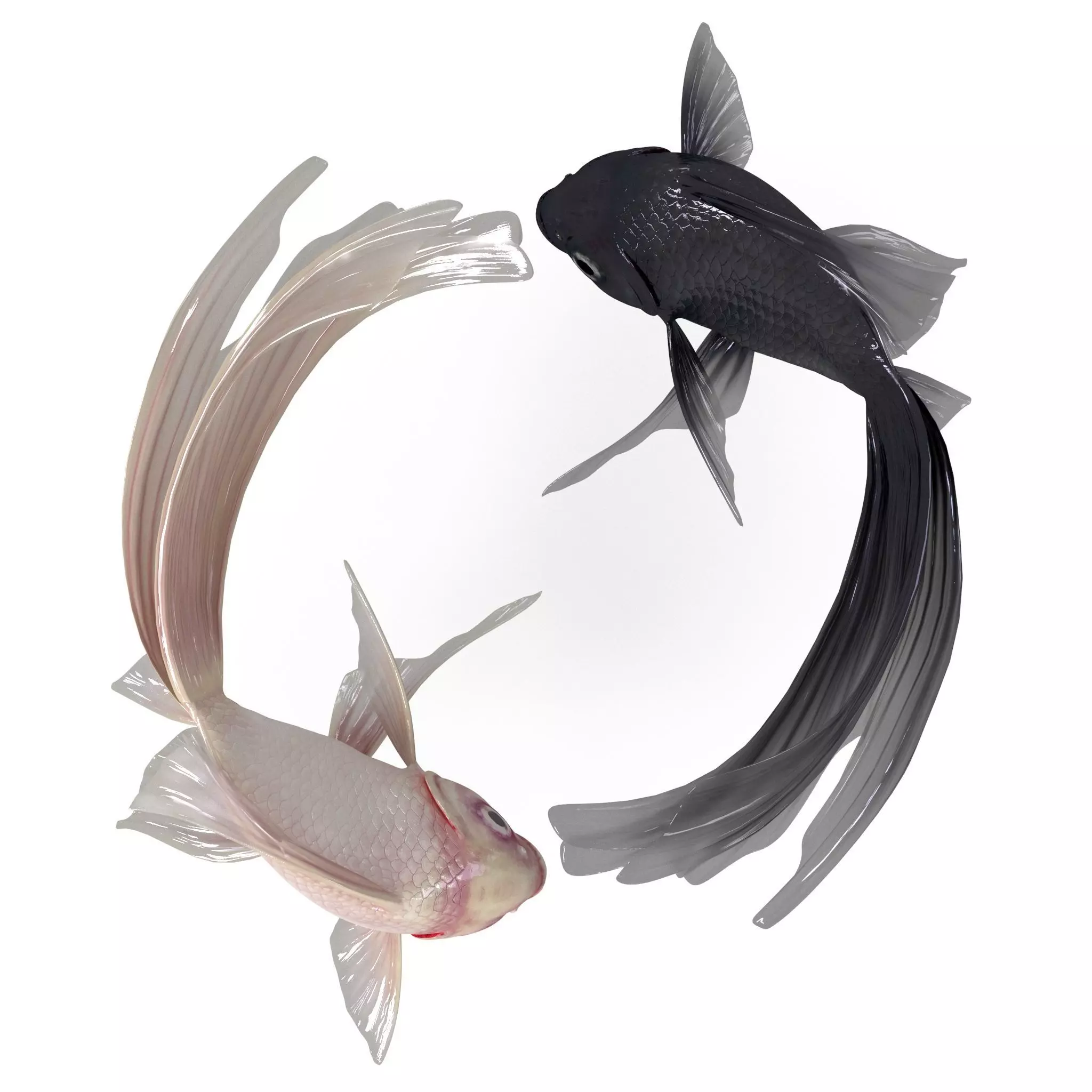 Yin Yang Fish Low-poly 3D model_0