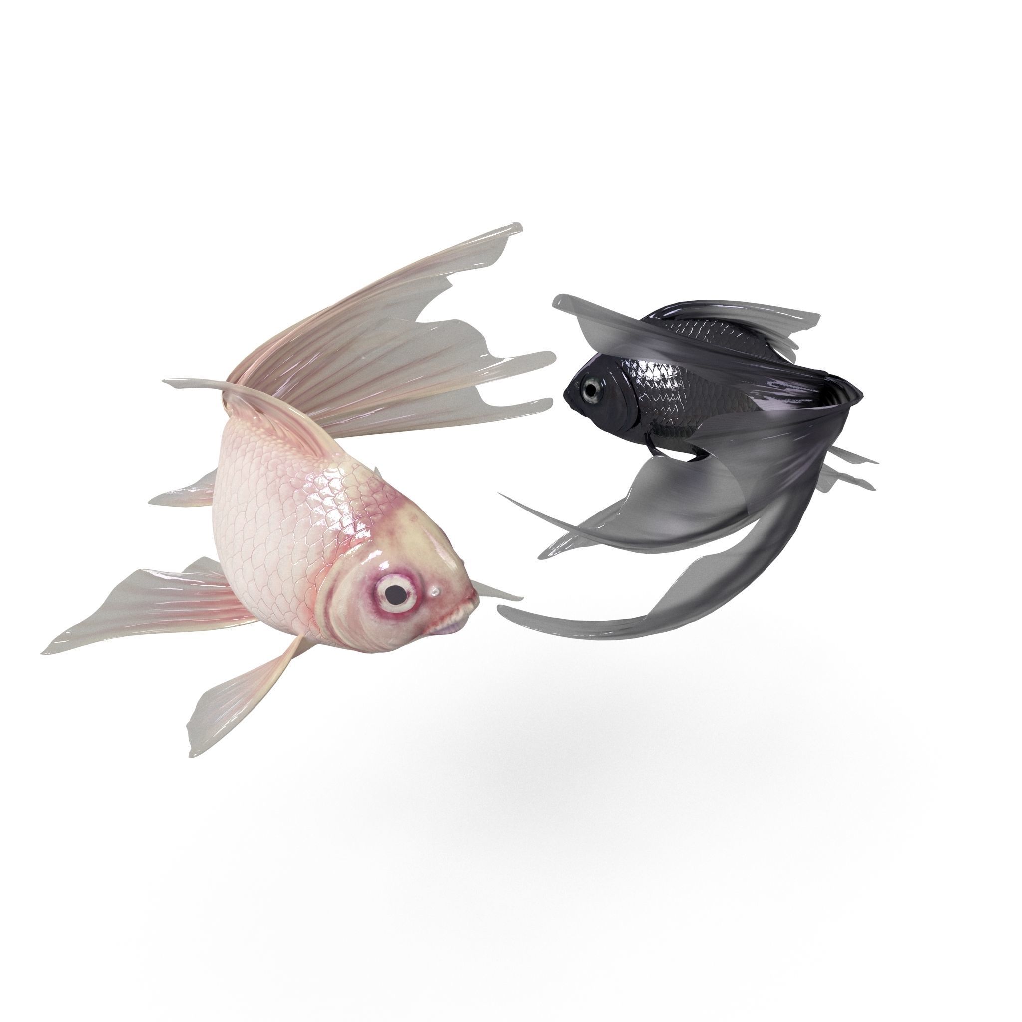 Yin Yang Fish Low-poly 3D model_3