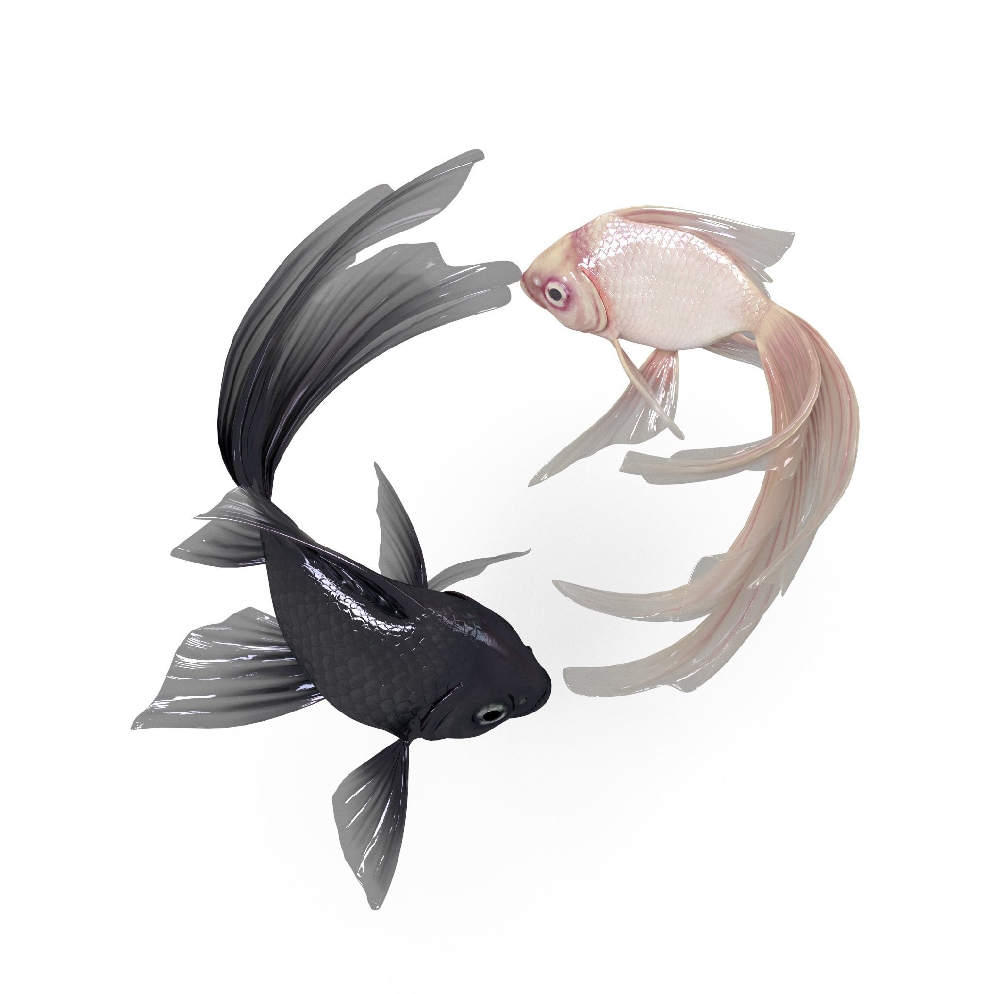 Yin Yang Fish Low-poly 3D model_5