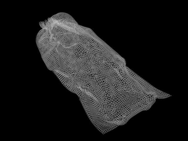 body bag collection 3D model_3