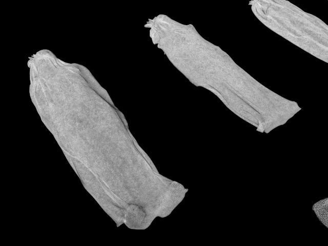 body bag collection 3D model_1