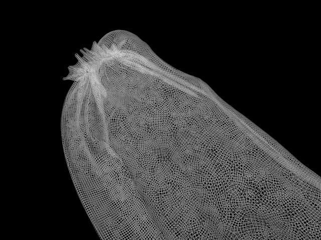 body bag collection 3D model_2