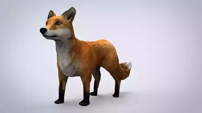 REALISTIC FOX