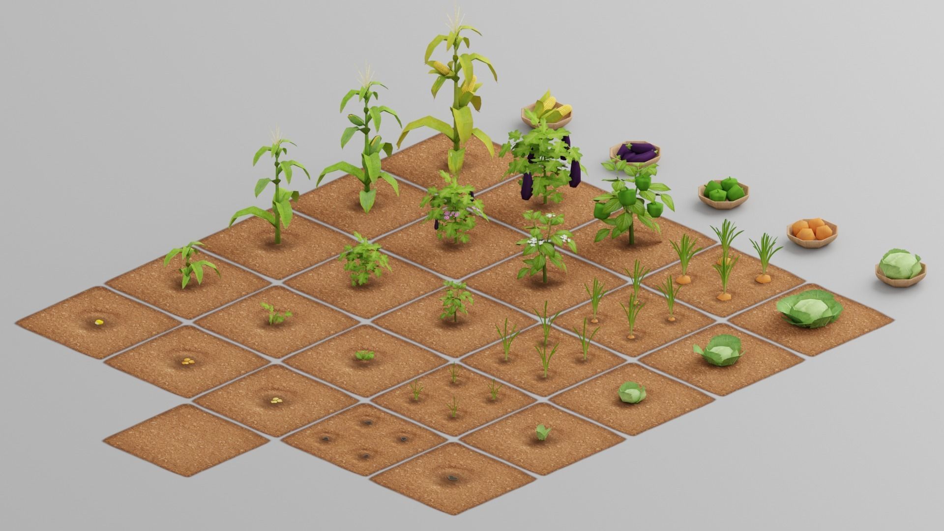 Vegetable Farm G42 Low-poly 3D model_8