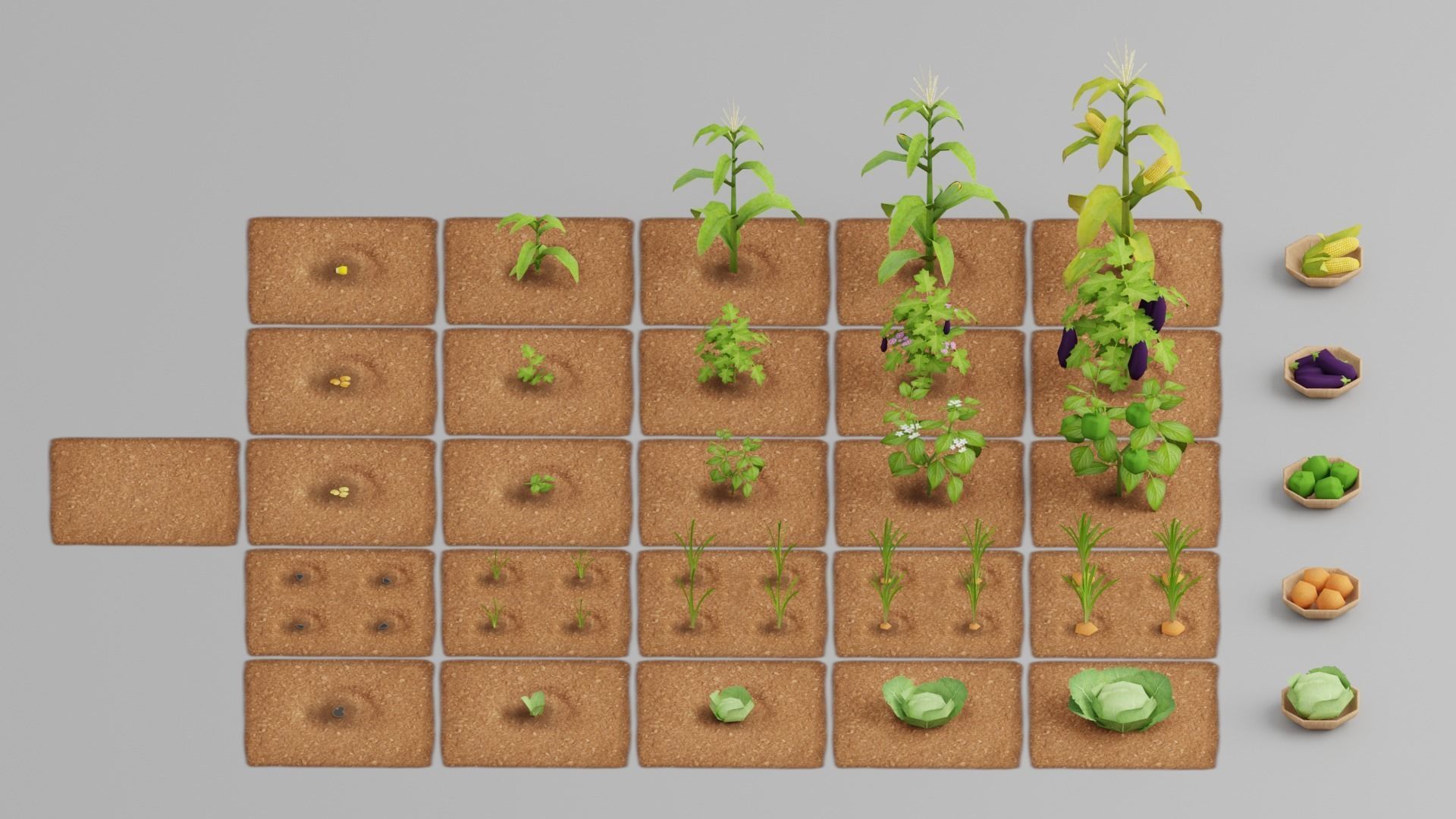 Vegetable Farm G42 Low-poly 3D model_10