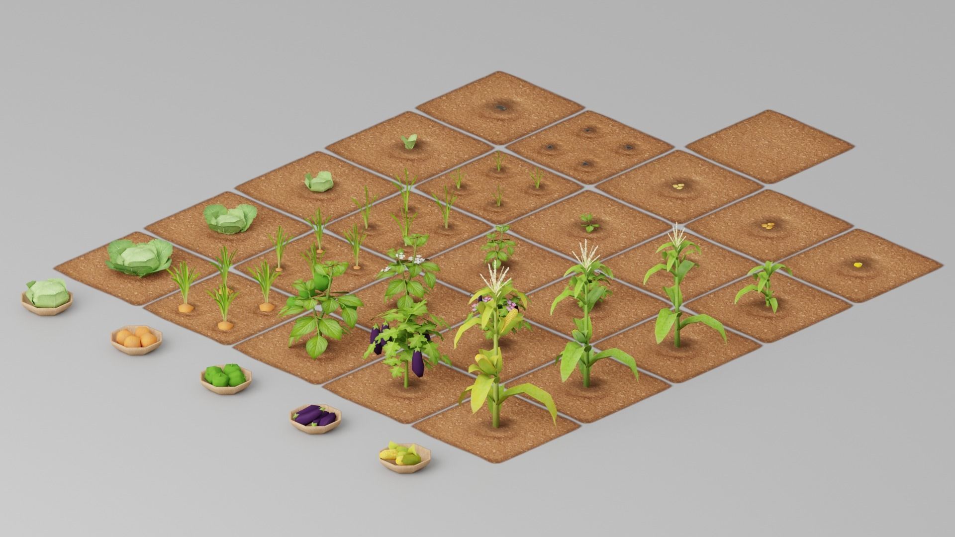 Vegetable Farm G42 Low-poly 3D model_11