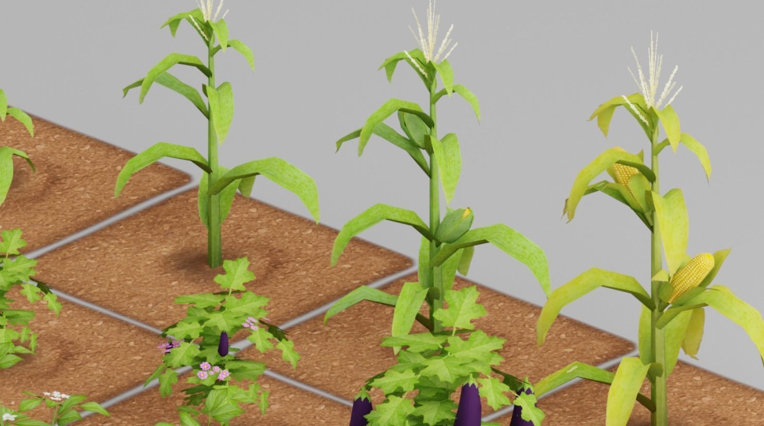 Vegetable Farm G42 Low-poly 3D model_16