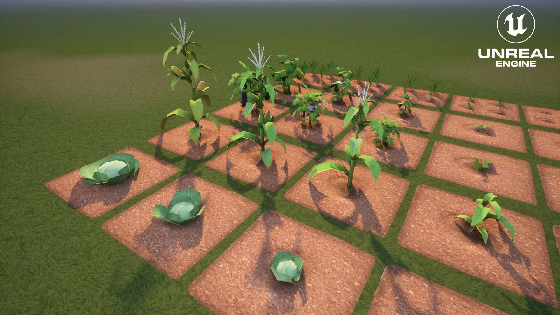 Vegetable Farm G42 Low-poly 3D model_3