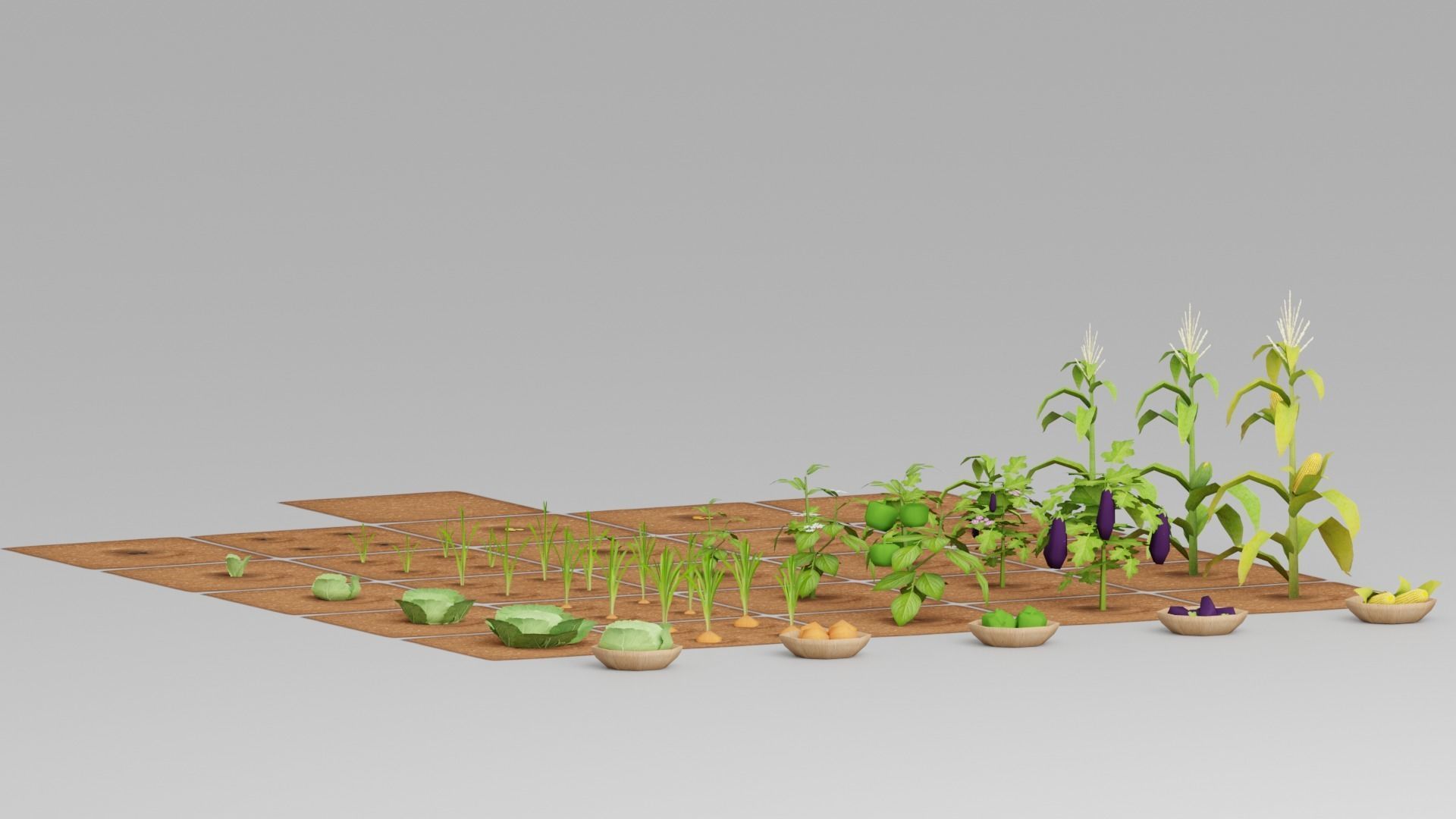 Vegetable Farm G42 Low-poly 3D model_12
