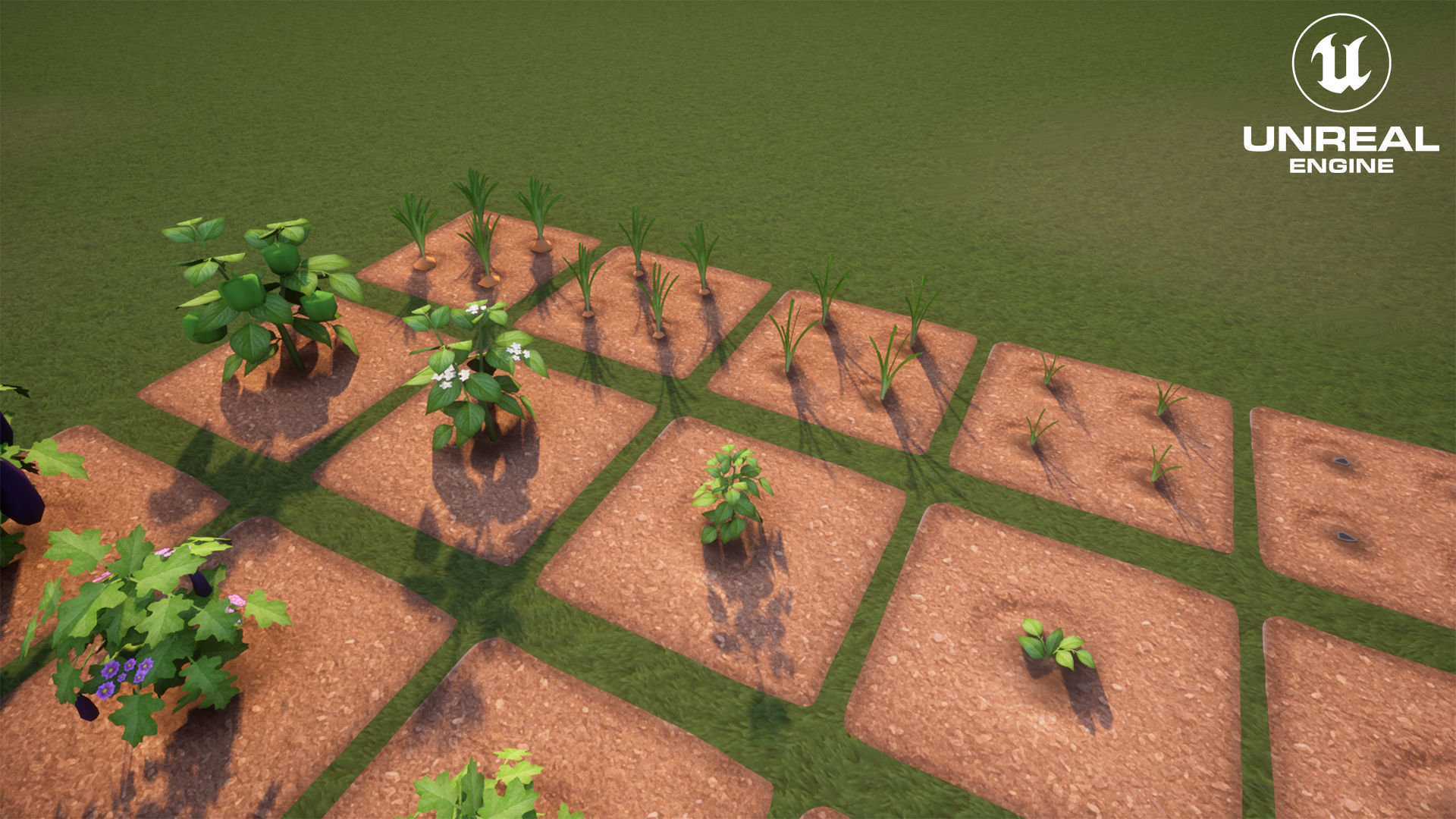 Vegetable Farm G42 Low-poly 3D model_5