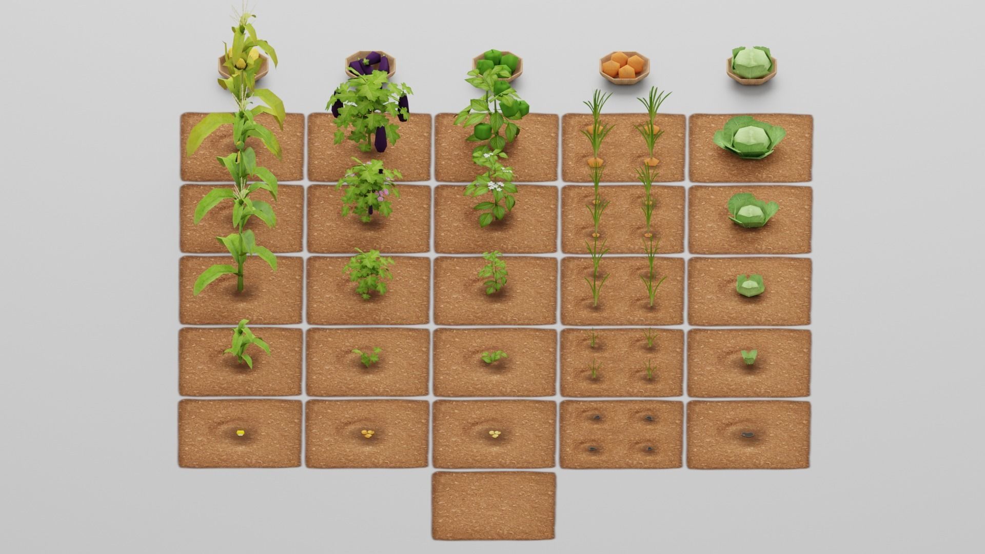 Vegetable Farm G42 Low-poly 3D model_13