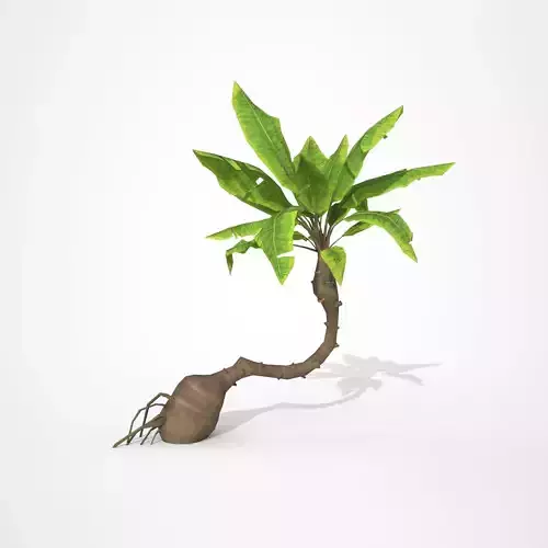  Palm tree Cartoon Stylized Hand painted Low-poly 3D model
