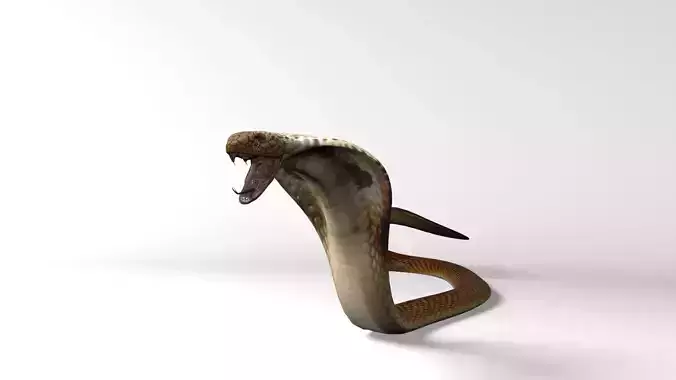 Snake Low Quality 3D model