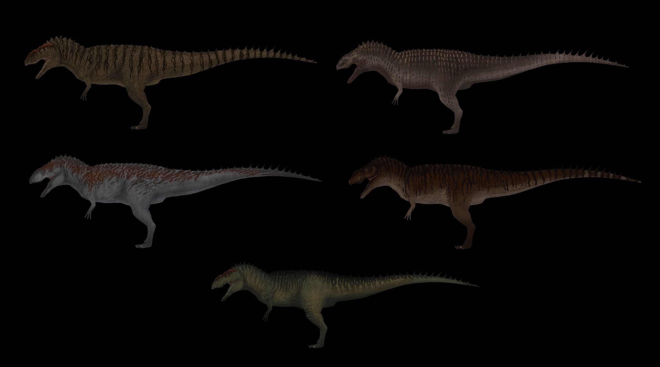 Giganotosaurus dinosaur Low-poly 3D model_13