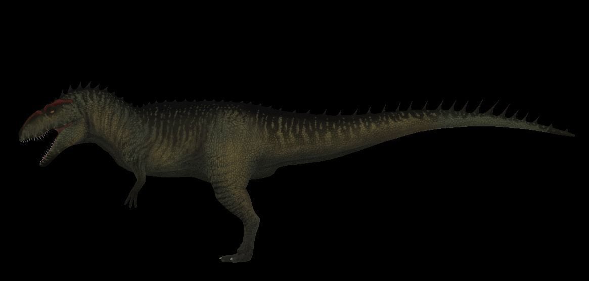 Giganotosaurus dinosaur Low-poly 3D model_8