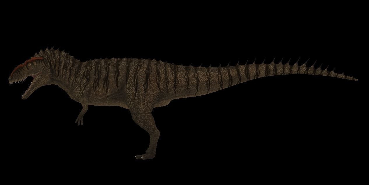 Giganotosaurus dinosaur Low-poly 3D model_10