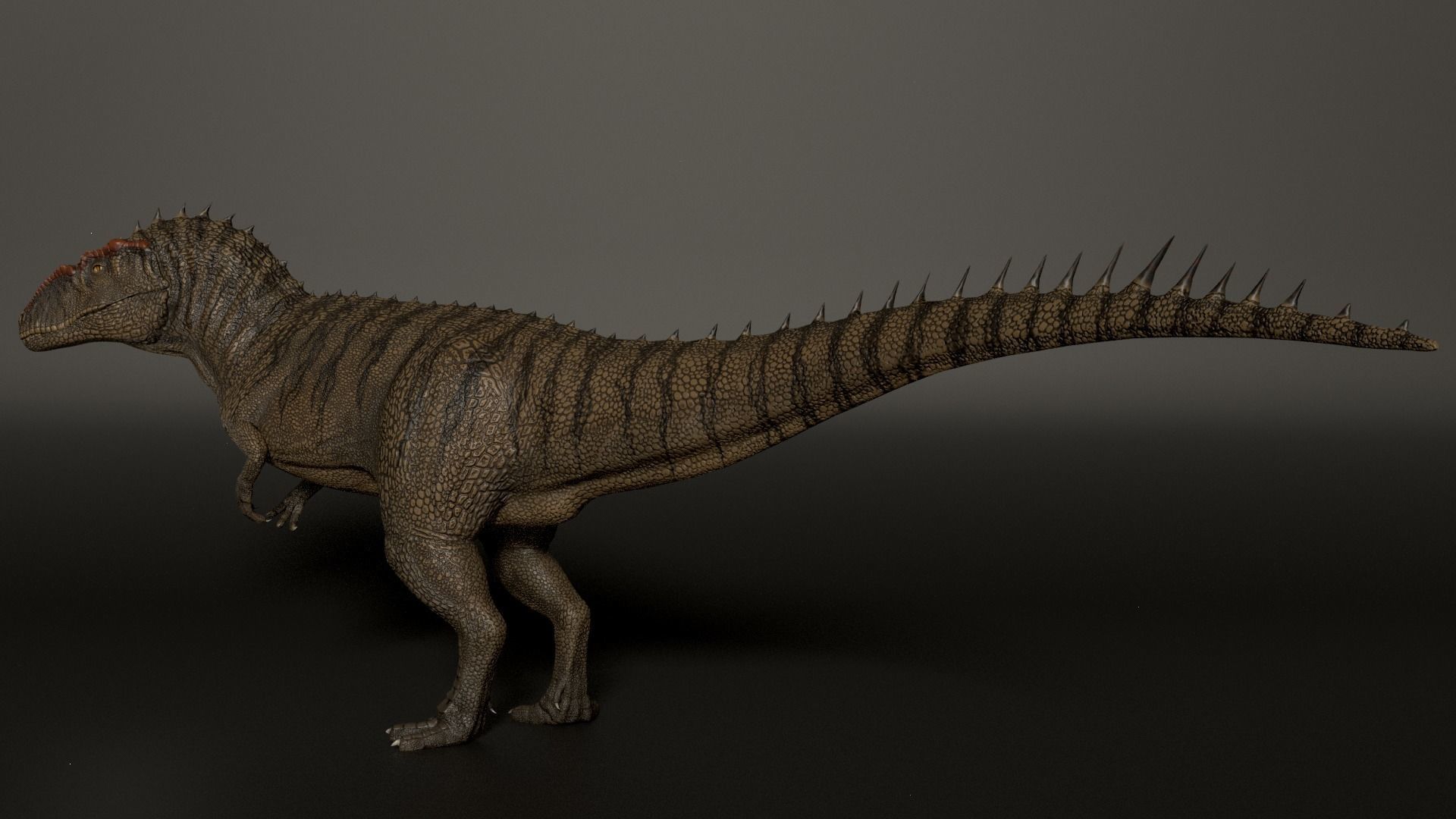 Giganotosaurus dinosaur Low-poly 3D model_4