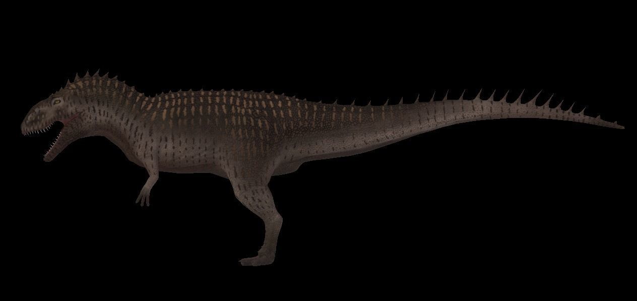 Giganotosaurus dinosaur Low-poly 3D model_9