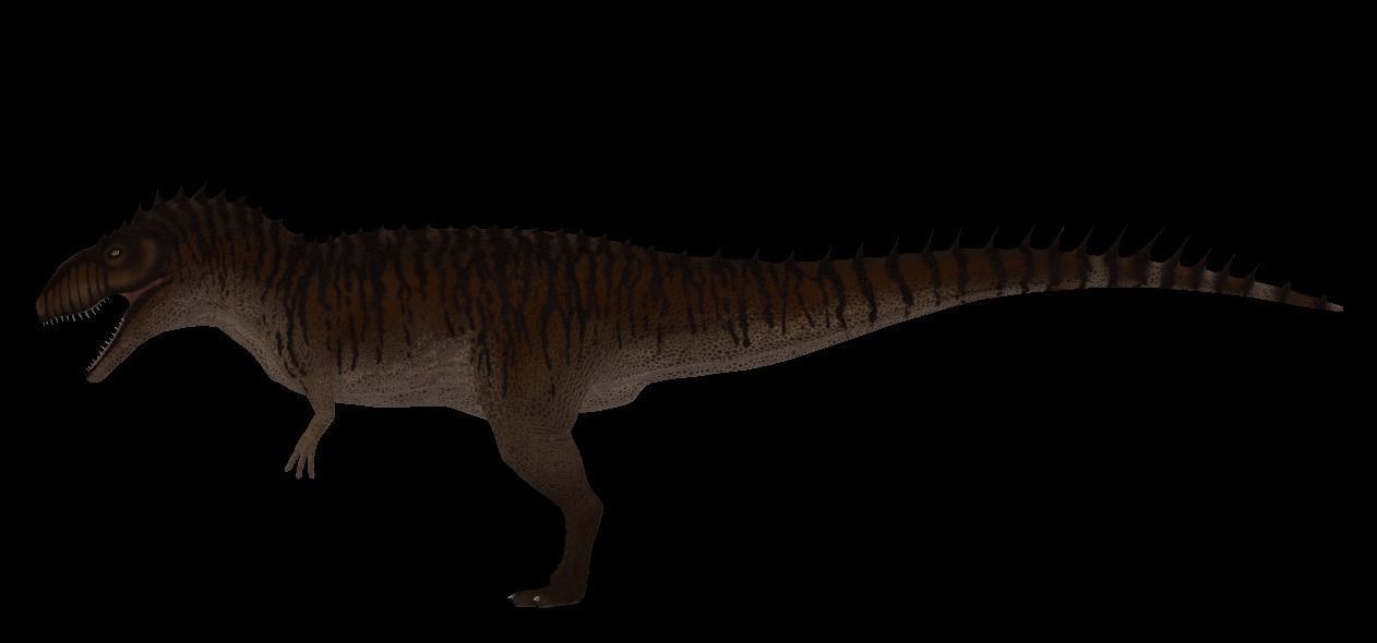 Giganotosaurus dinosaur Low-poly 3D model_12