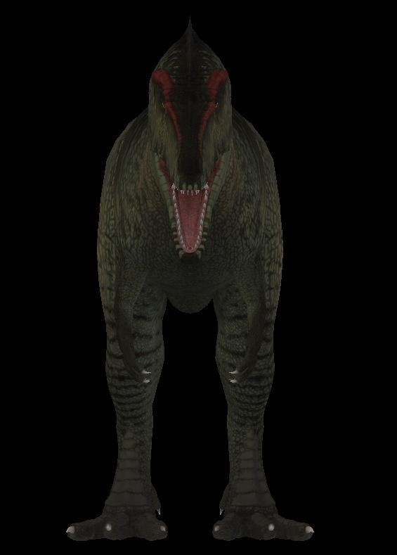 Giganotosaurus dinosaur Low-poly 3D model_6