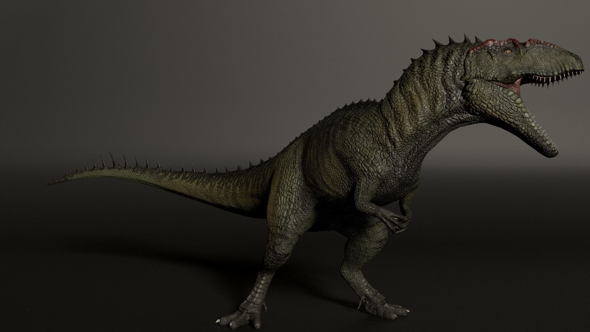 Giganotosaurus dinosaur Low-poly 3D model_3
