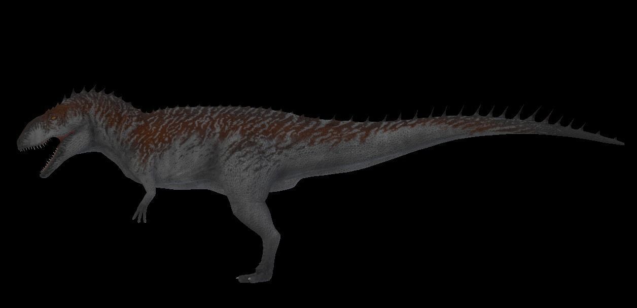 Giganotosaurus dinosaur Low-poly 3D model_11