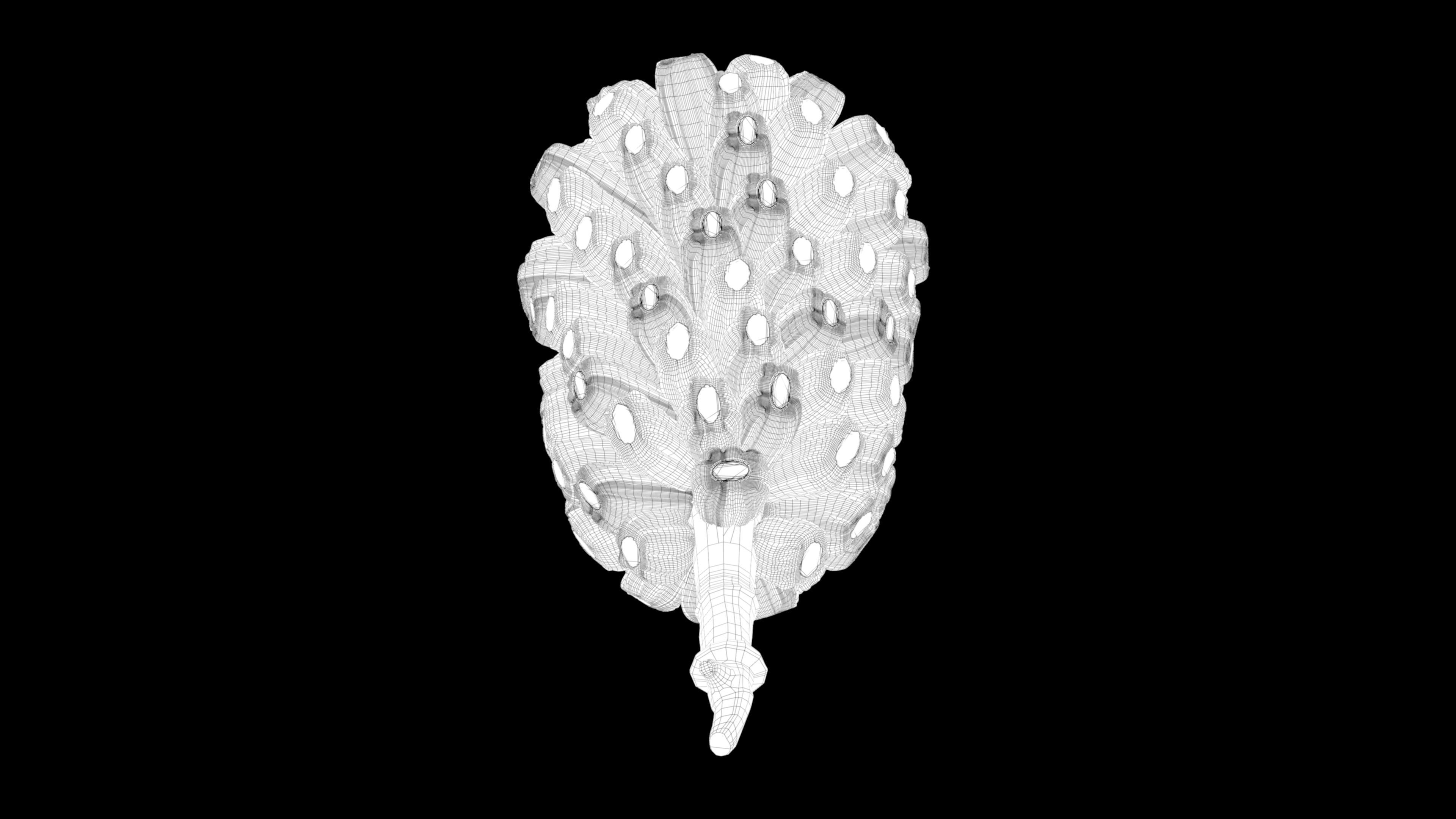 jackfruit 3D rigged model 3D model_58