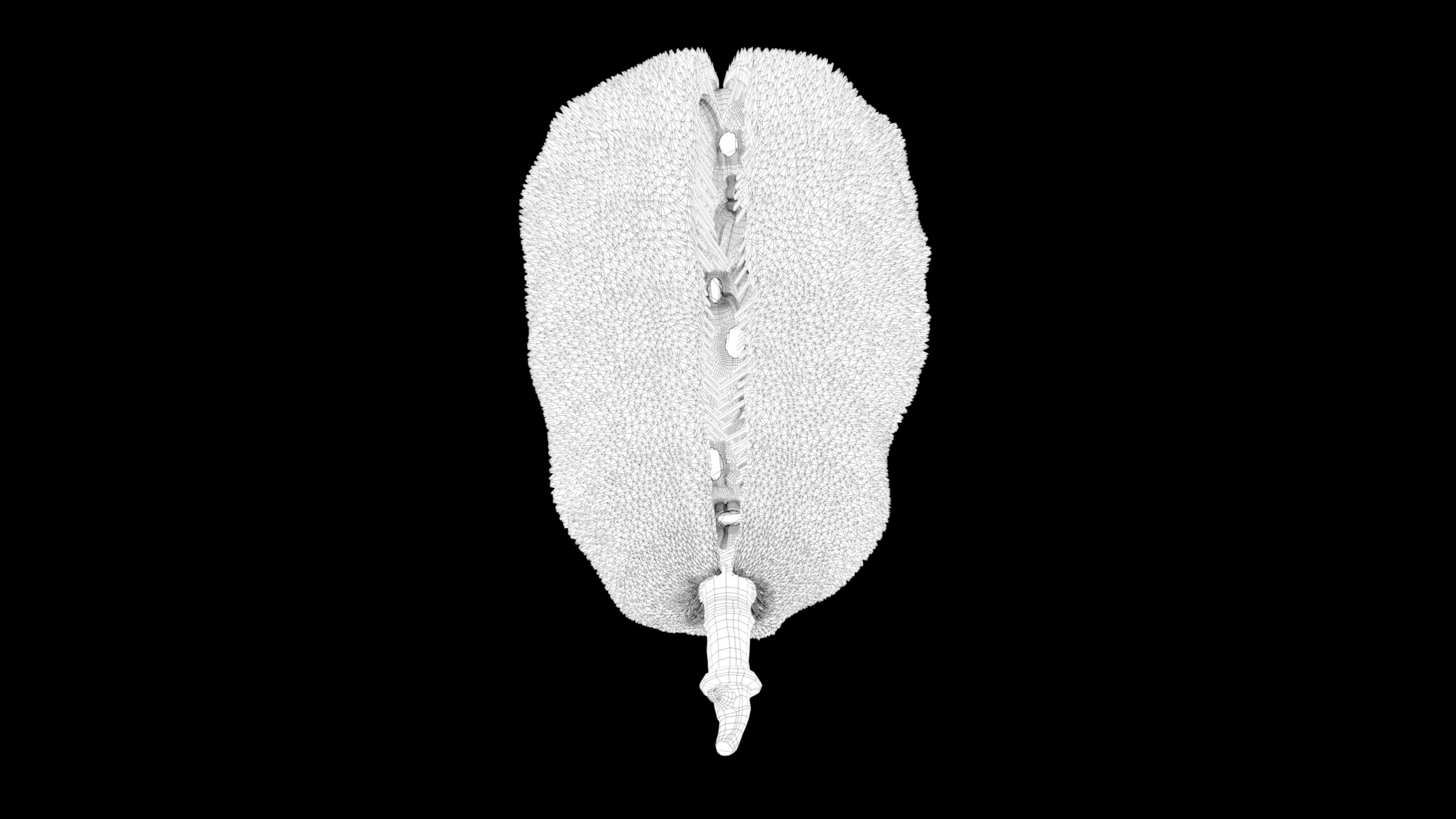 jackfruit 3D rigged model 3D model_50