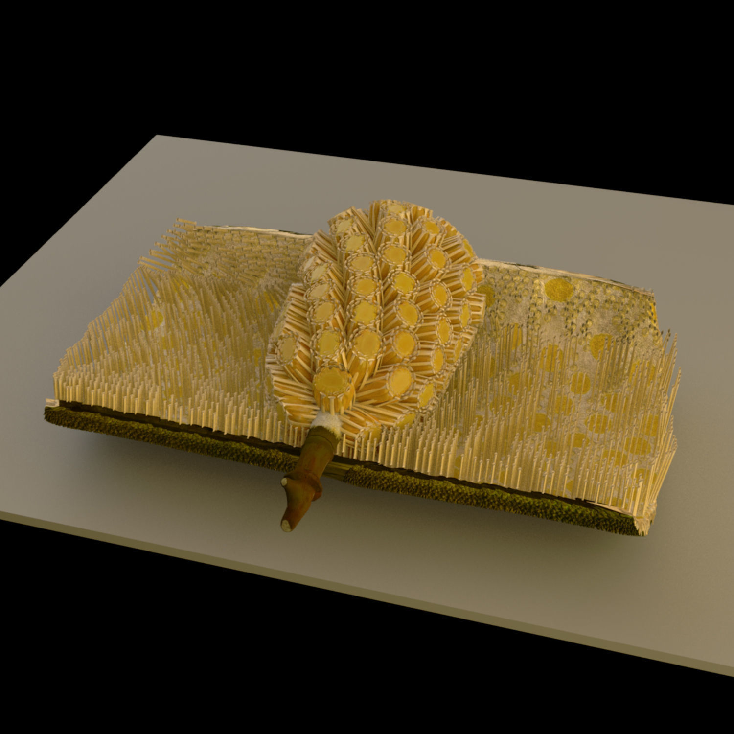 jackfruit 3D rigged model 3D model_17