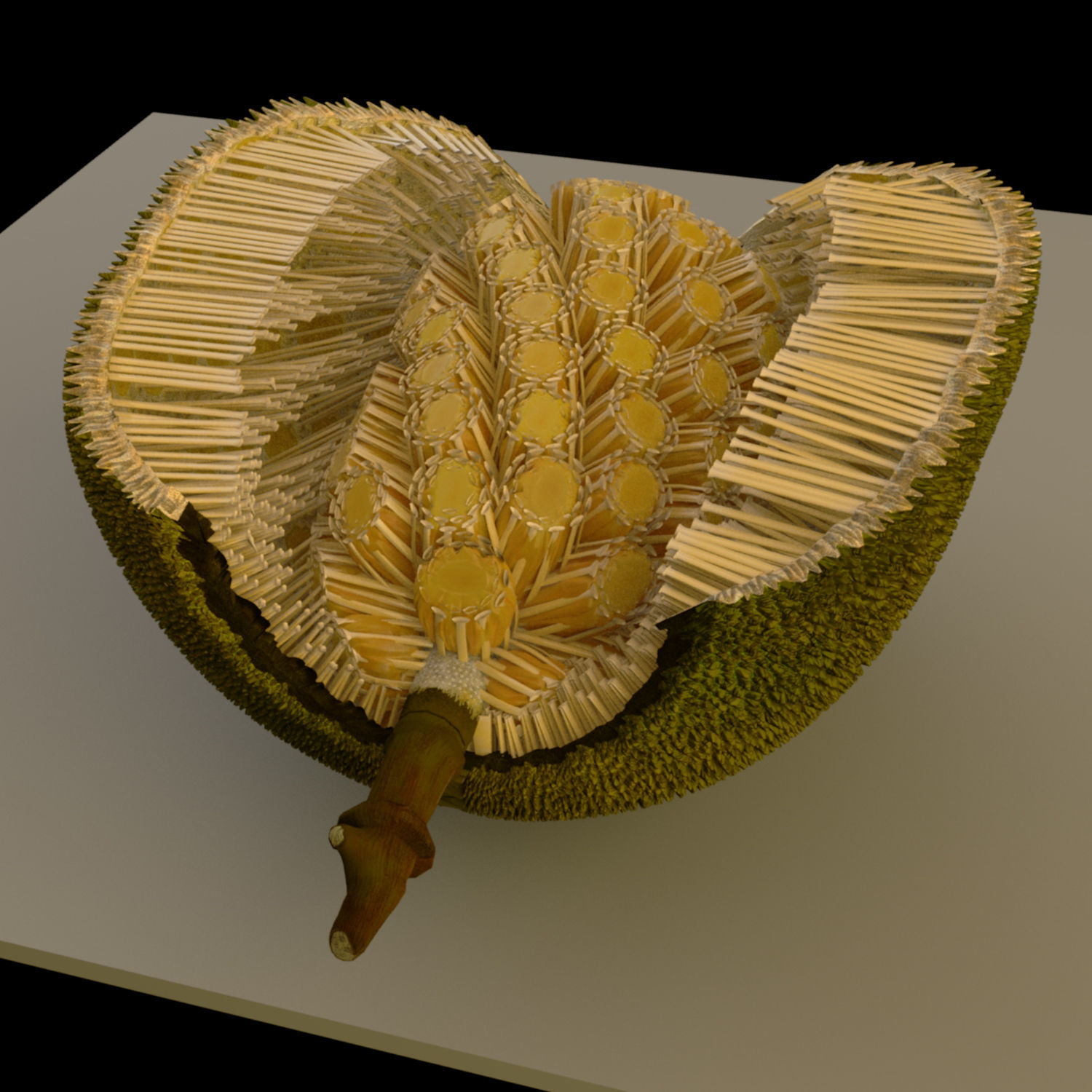 jackfruit 3D rigged model 3D model_15