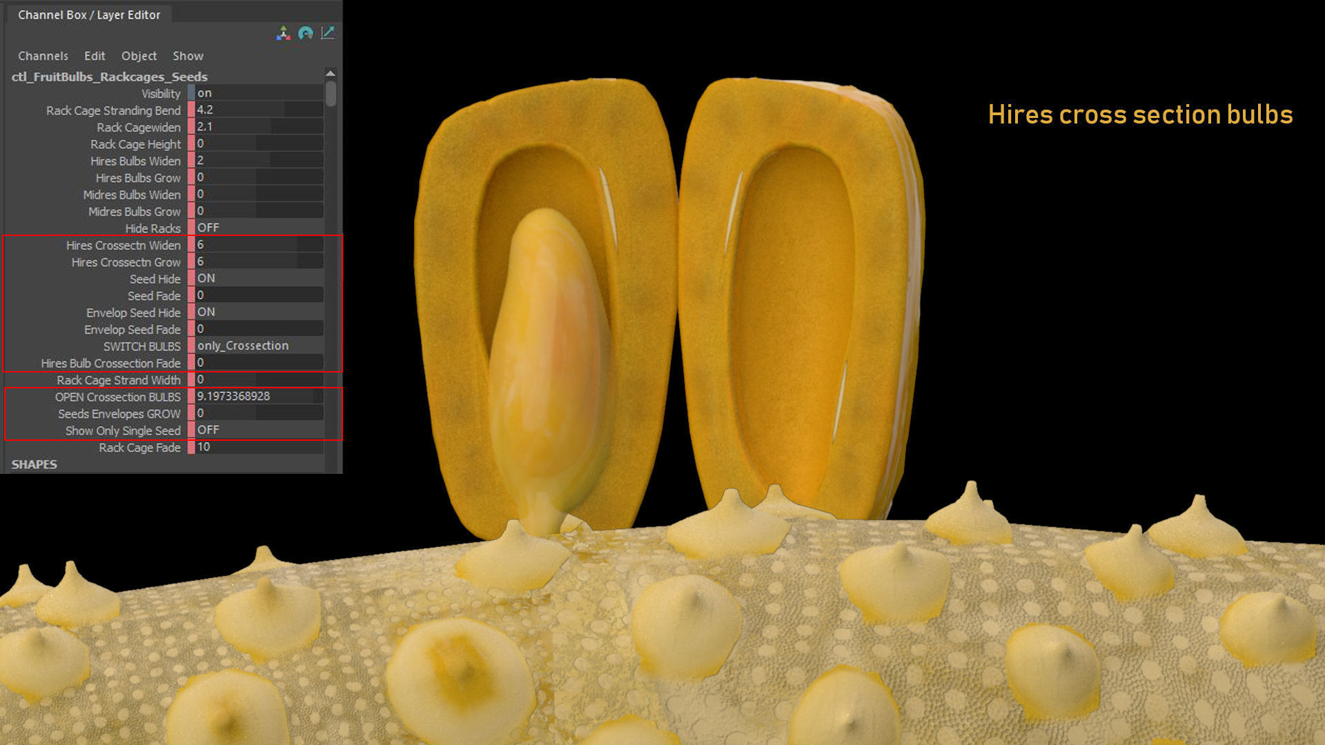 jackfruit 3D rigged model 3D model_23