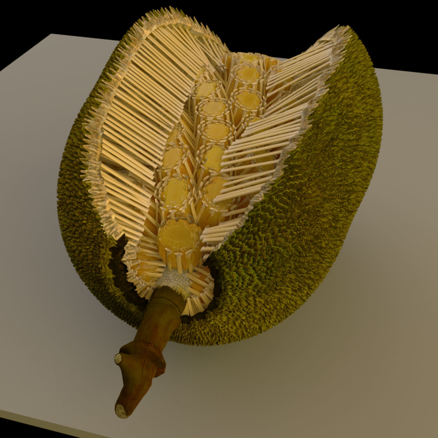 jackfruit 3D rigged model 3D model_14