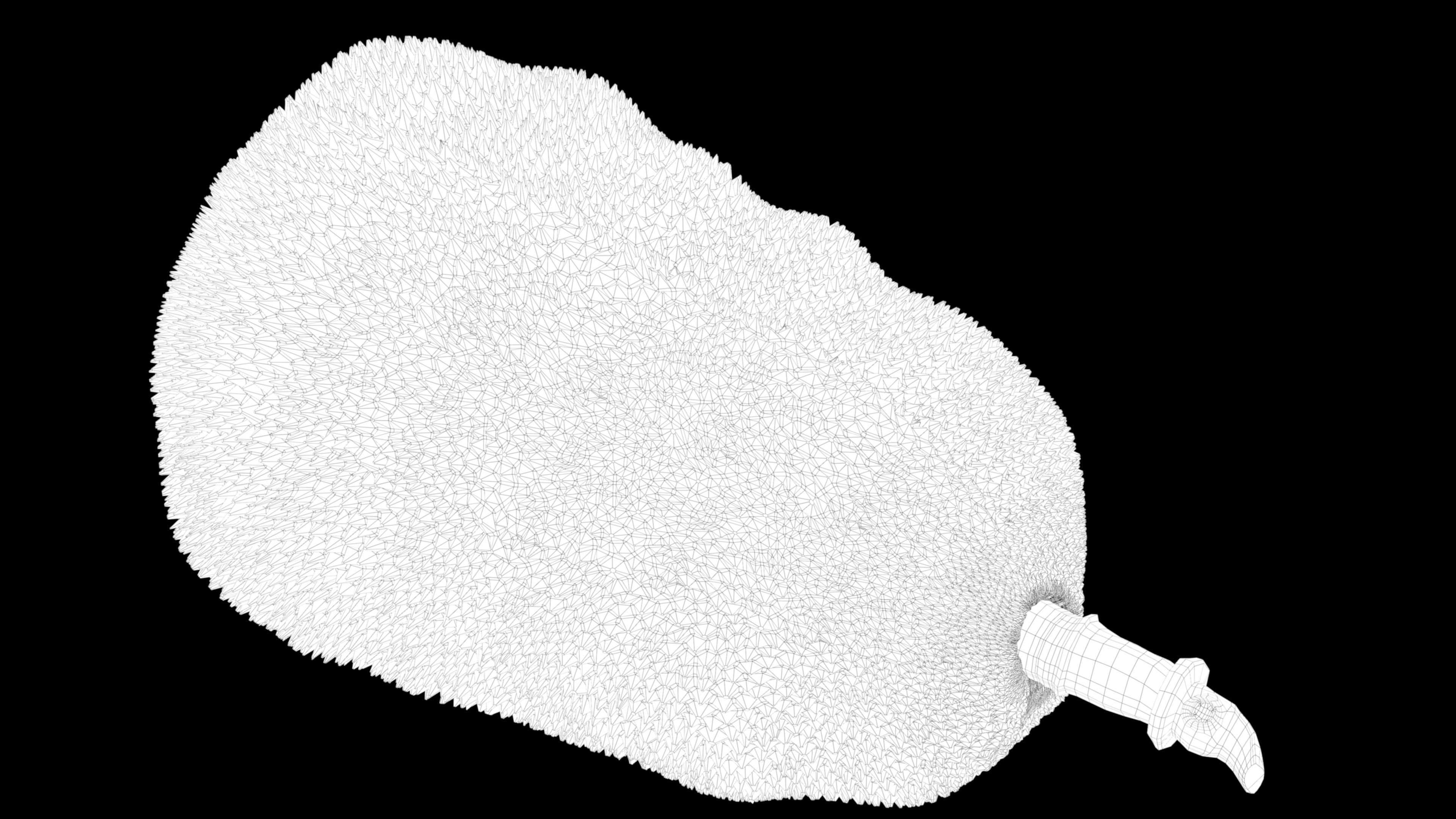 jackfruit 3D rigged model 3D model_57