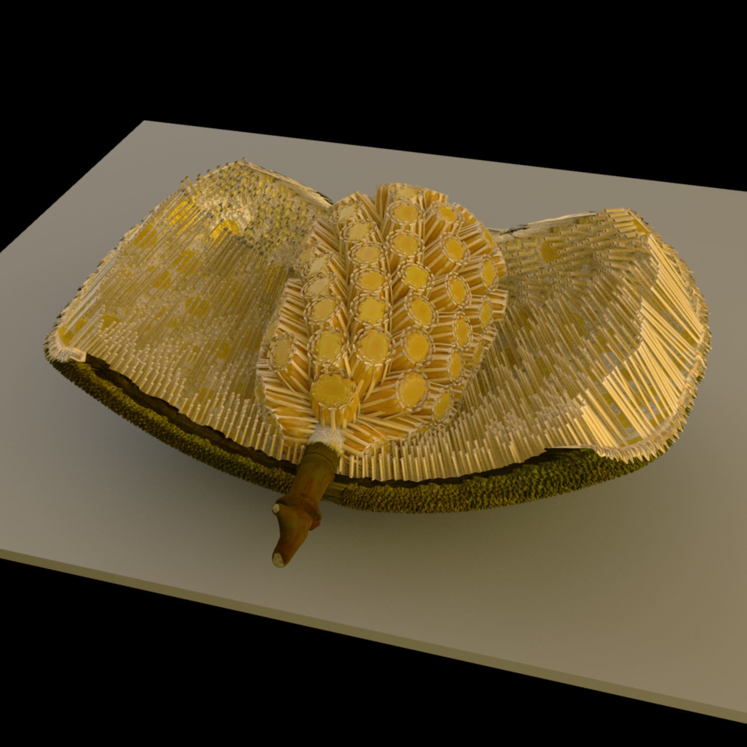 jackfruit 3D rigged model 3D model_16