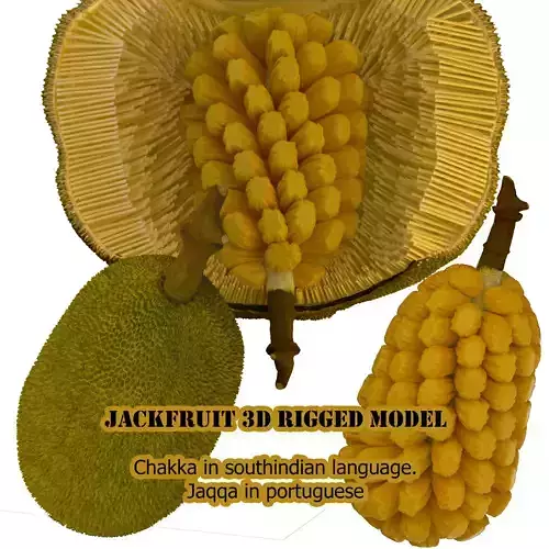 jackfruit 3D rigged model 3D model