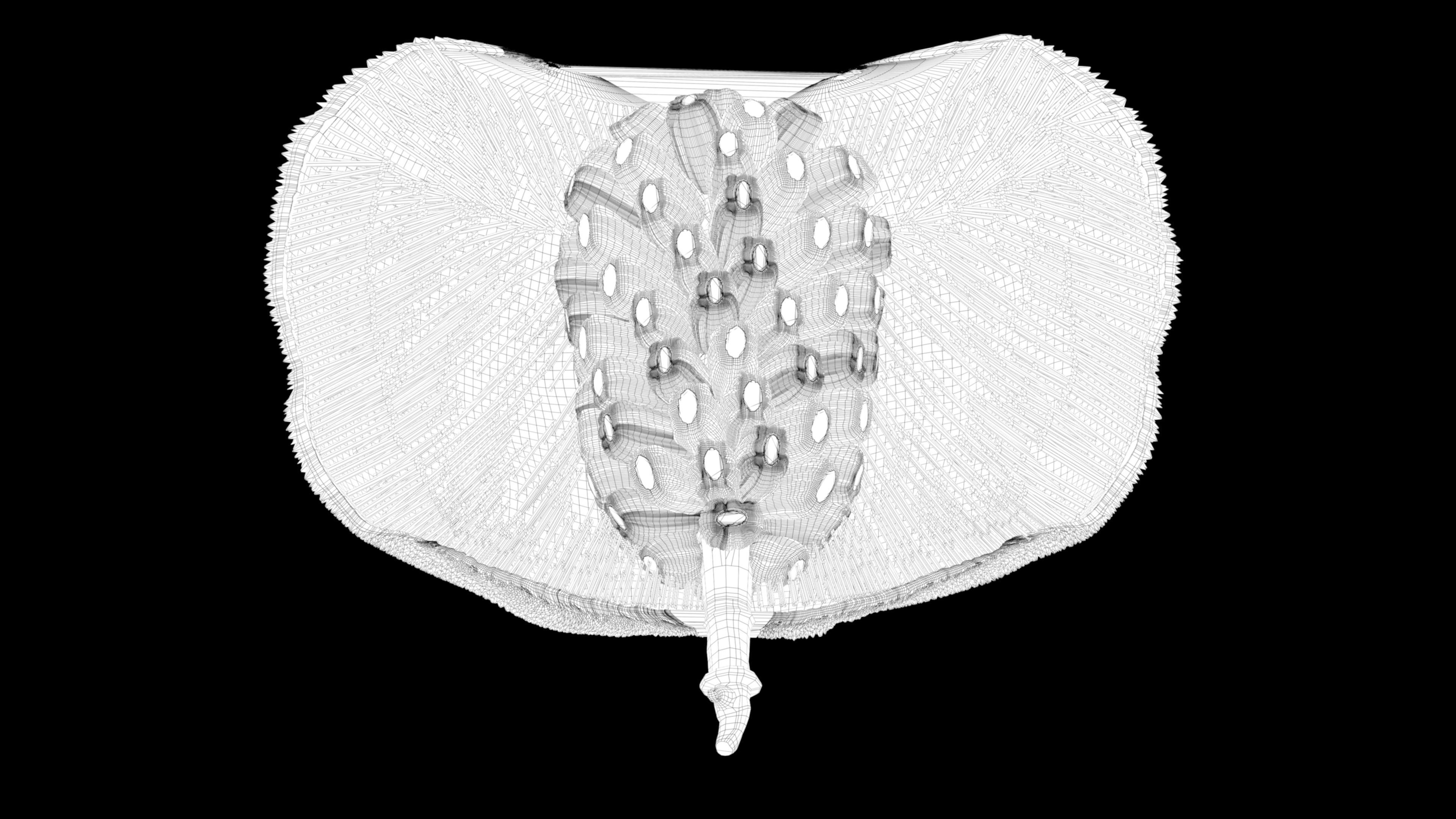 jackfruit 3D rigged model 3D model_55