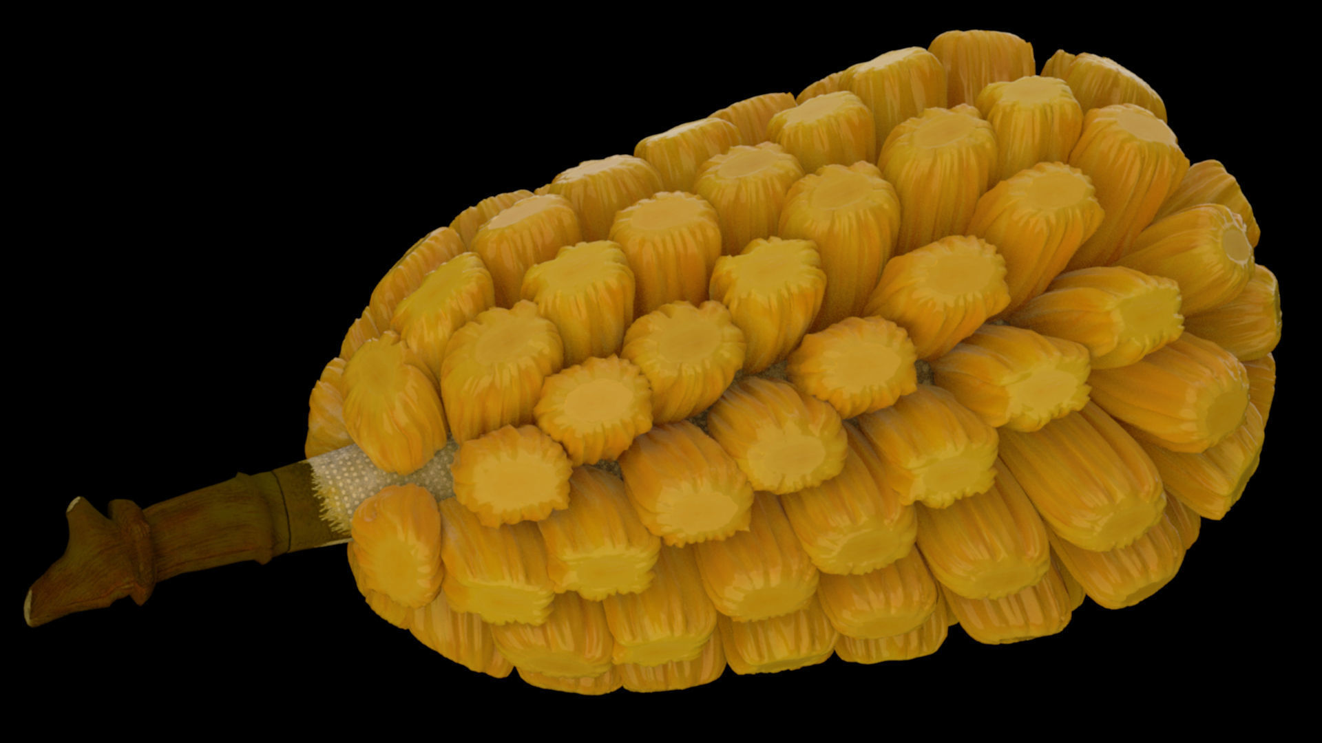 jackfruit 3D rigged model 3D model_19