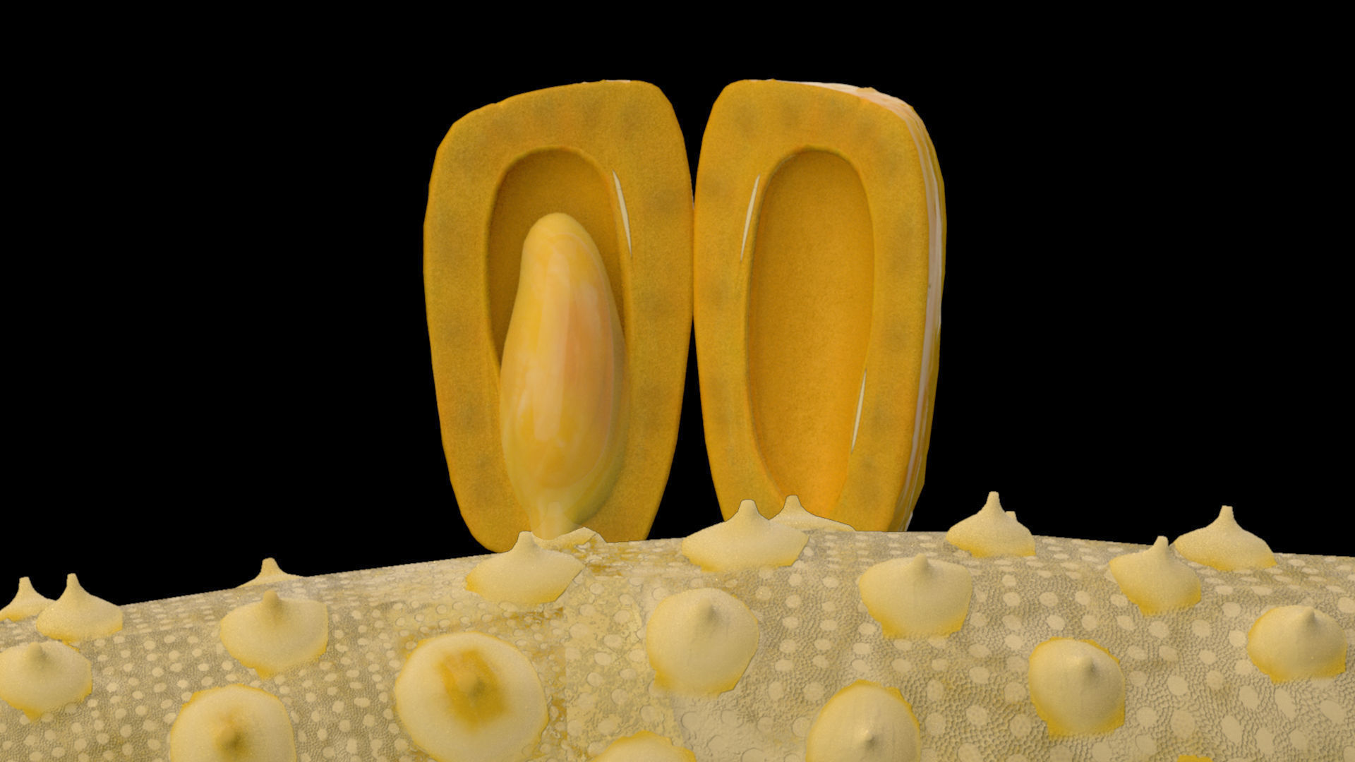 jackfruit 3D rigged model 3D model_42