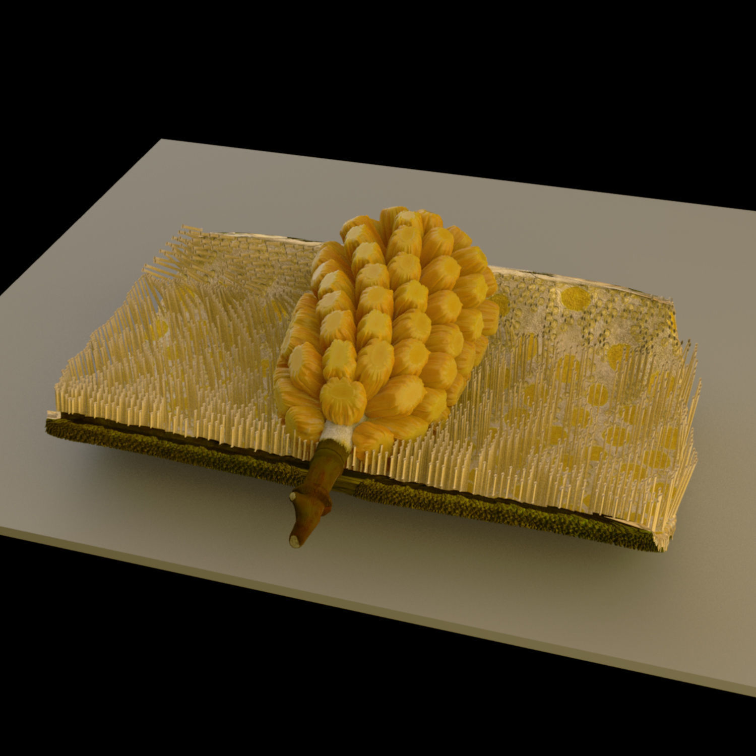 jackfruit 3D rigged model 3D model_18