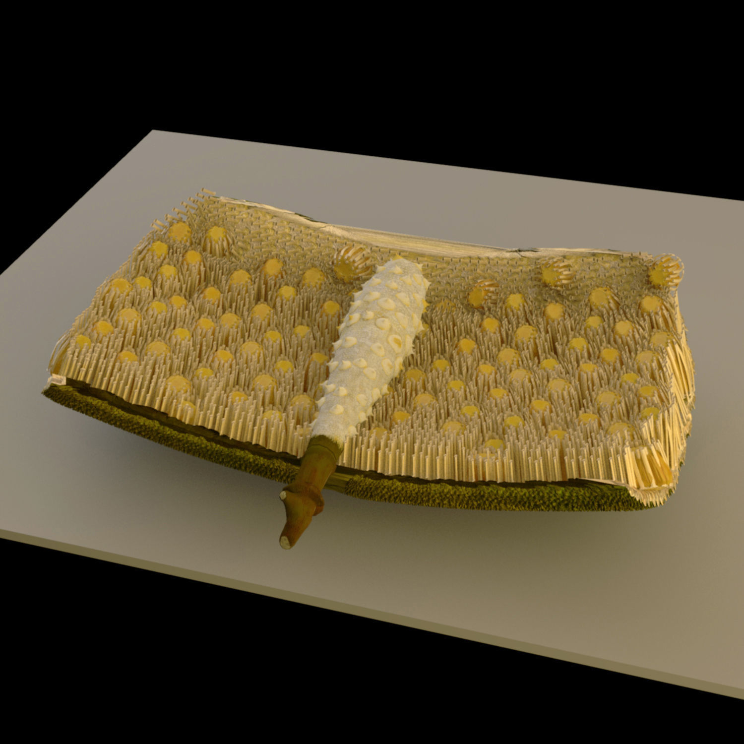 jackfruit 3D rigged model 3D model_9